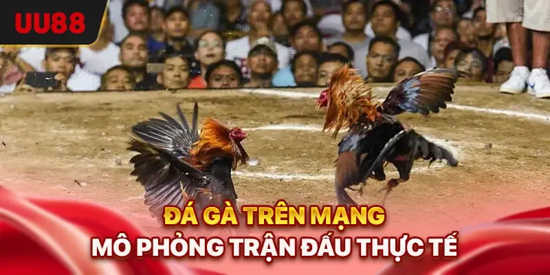 Đá gà trên mạng mô phỏng trận đấu thực tế